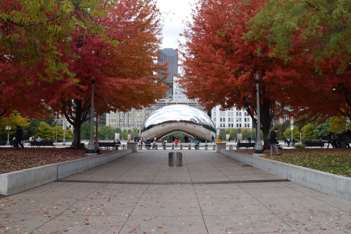 Fall in Chicago